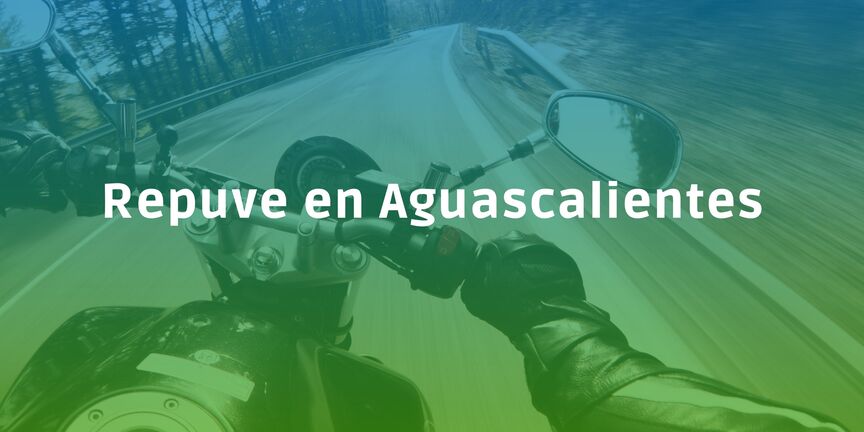Repuve-en-Aguascalientes